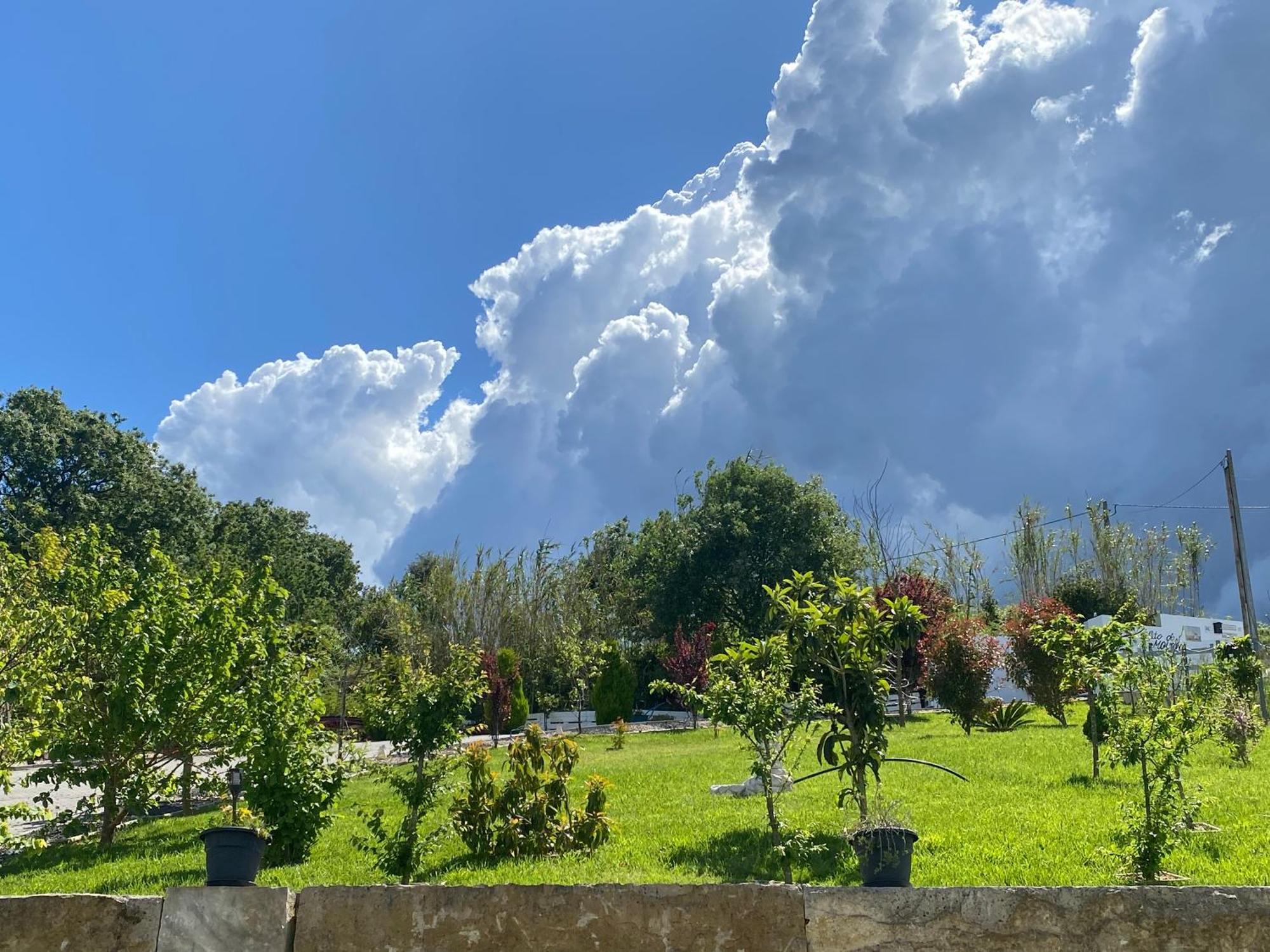 Alto Do Moinho Lägenhet Alcobaça Exteriör bild
